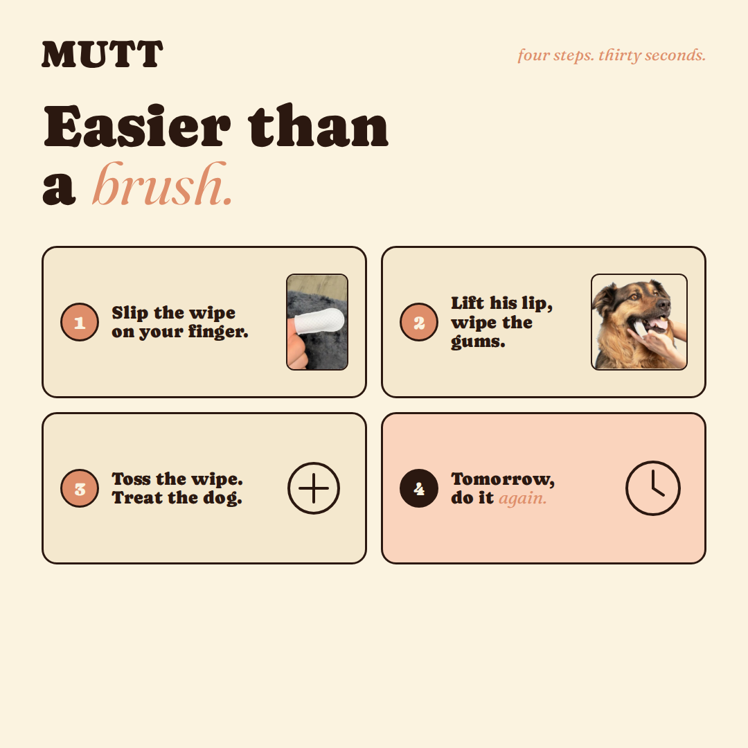 Mutt Tooth Wipes — Daily Dental Care for Dogs