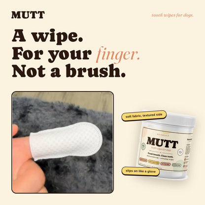 Mutt Tooth Wipes — Daily Dental Care for Dogs