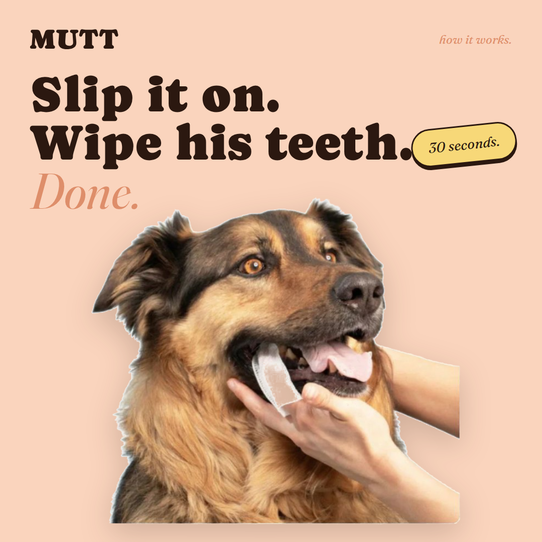 Mutt Tooth Wipes — Daily Dental Care for Dogs
