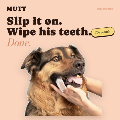 Mutt Tooth Wipes — Daily Dental Care for Dogs