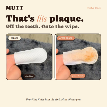 Mutt Tooth Wipes — Daily Dental Care for Dogs