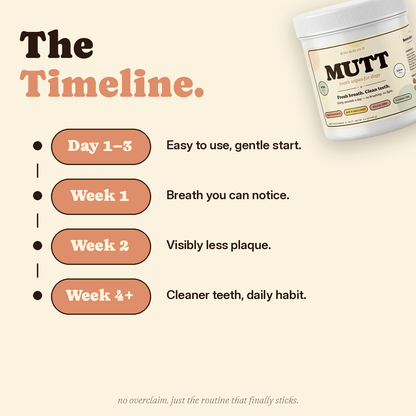Mutt Tooth Wipes — Daily Dental Care for Dogs