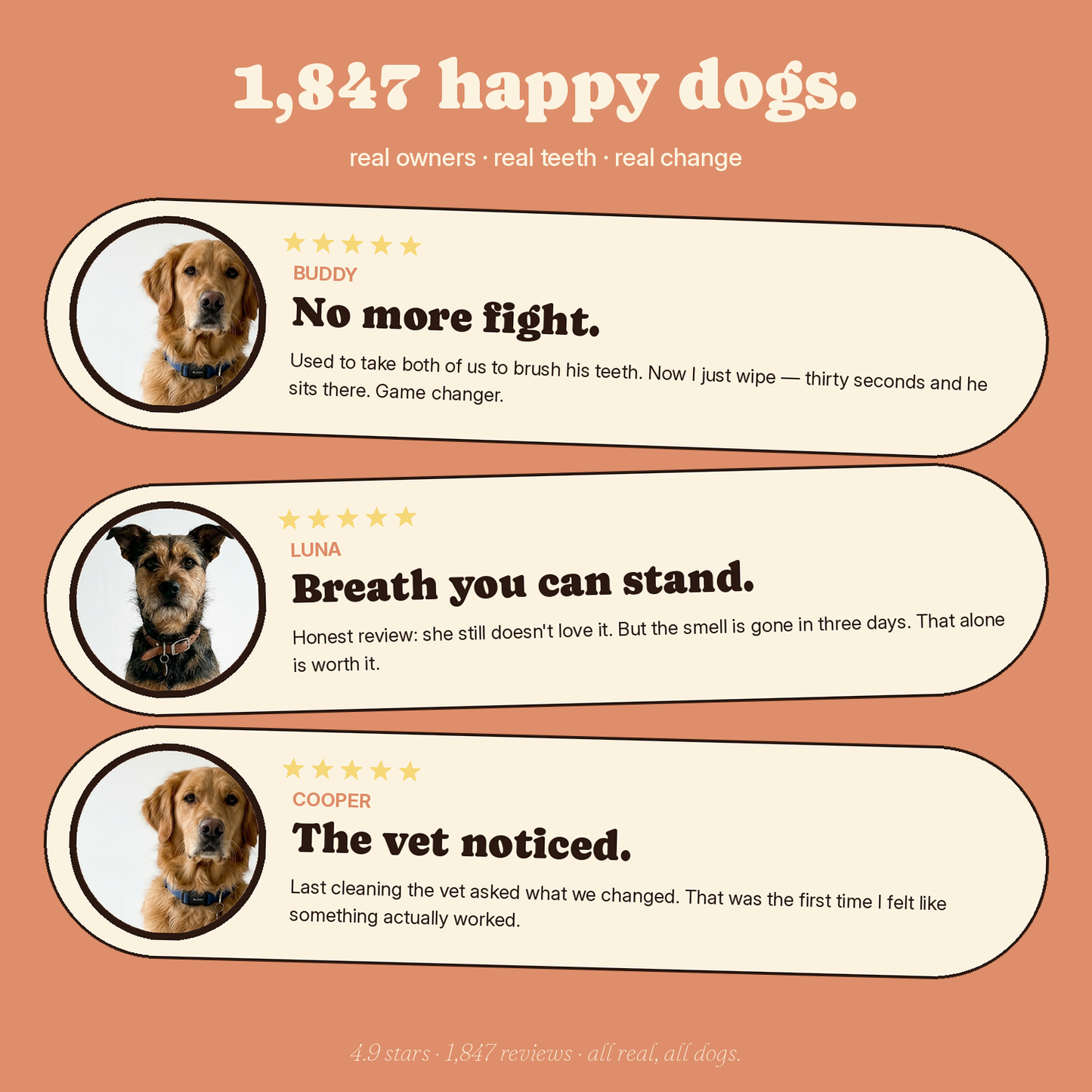 Mutt Tooth Wipes — Daily Dental Care for Dogs