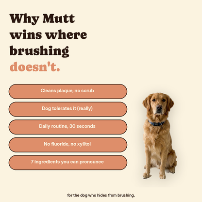Mutt Tooth Wipes — Daily Dental Care for Dogs