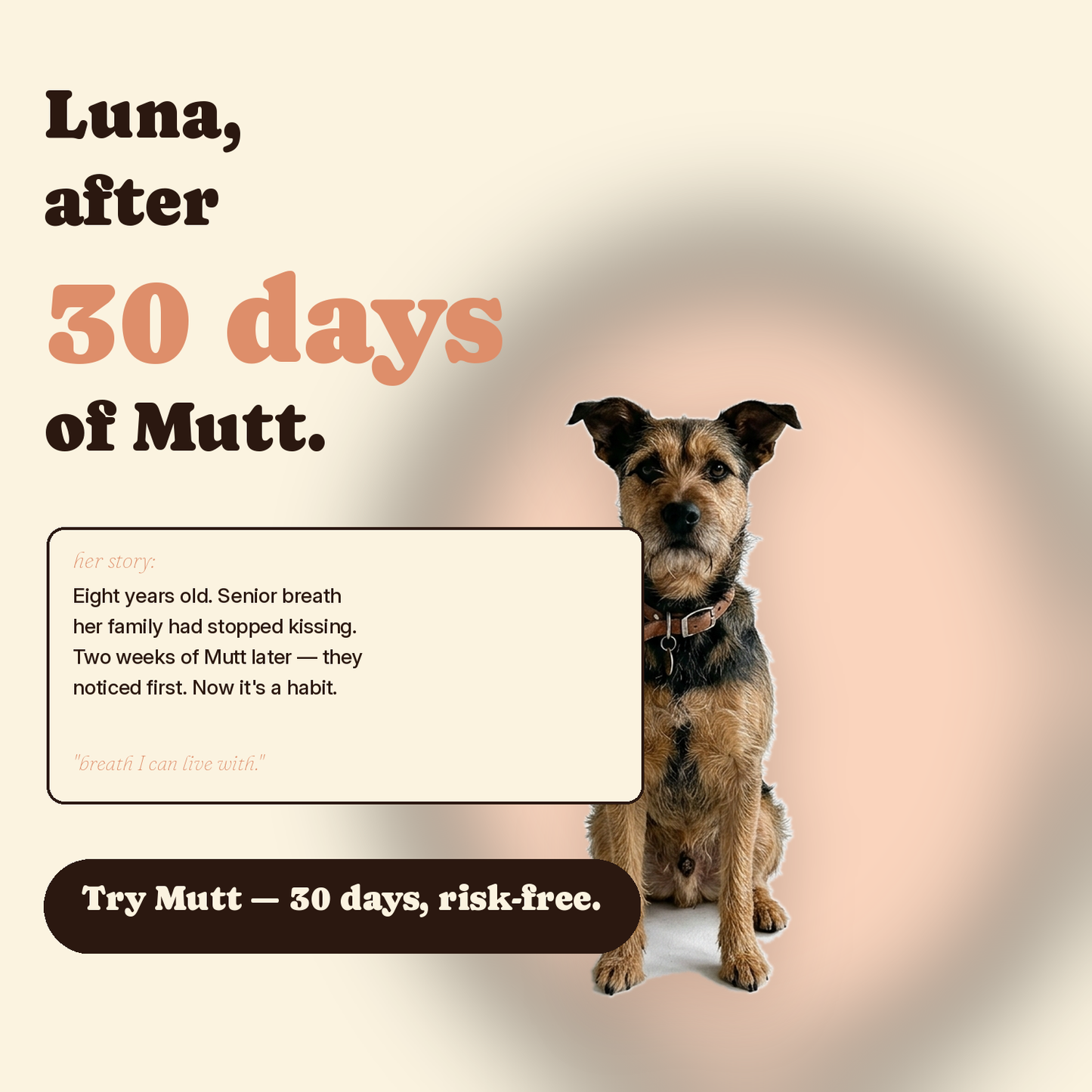 Mutt Tooth Wipes — Daily Dental Care for Dogs