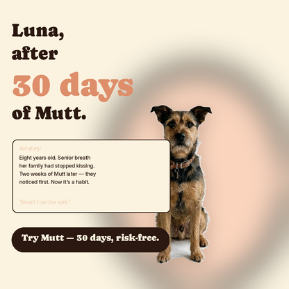 Mutt Tooth Wipes — Daily Dental Care for Dogs
